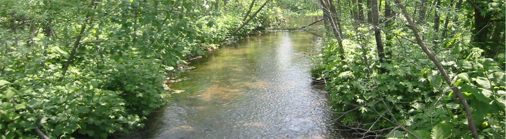 陸水学（Limnology)とは